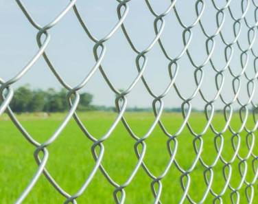 Wire Netting: 4 Versatile Applications for Your Home and Garden